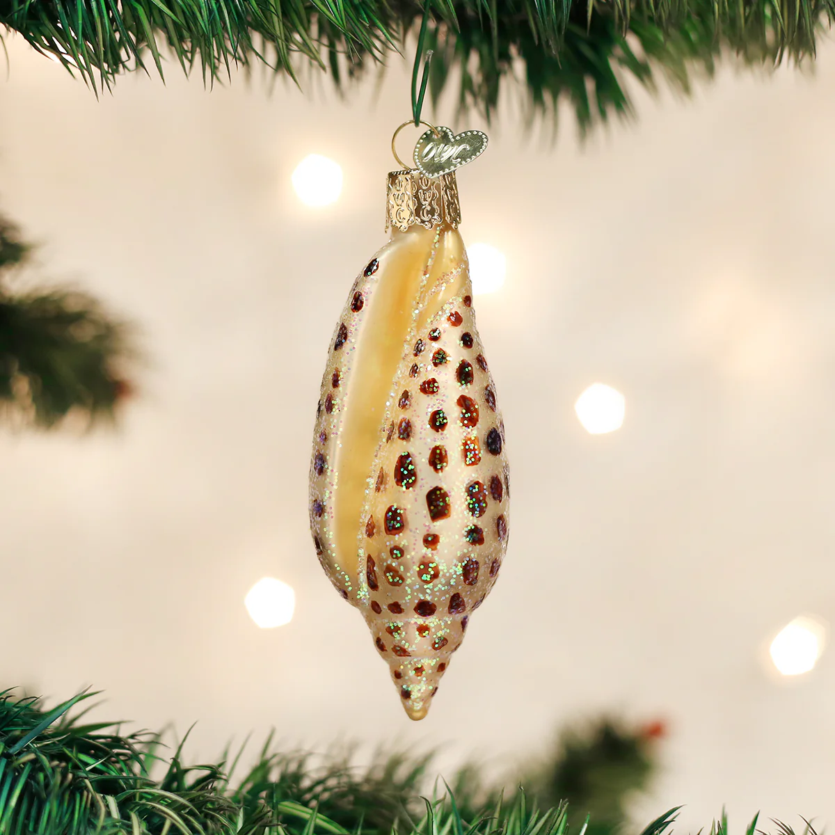 Junonia Shell Ornament - Fundcutody