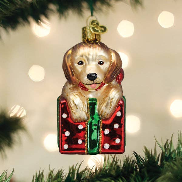 Golden Puppy Ornament - Fundcutody